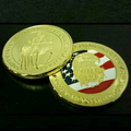 Metal Coin-308